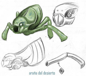 Araña Desierto